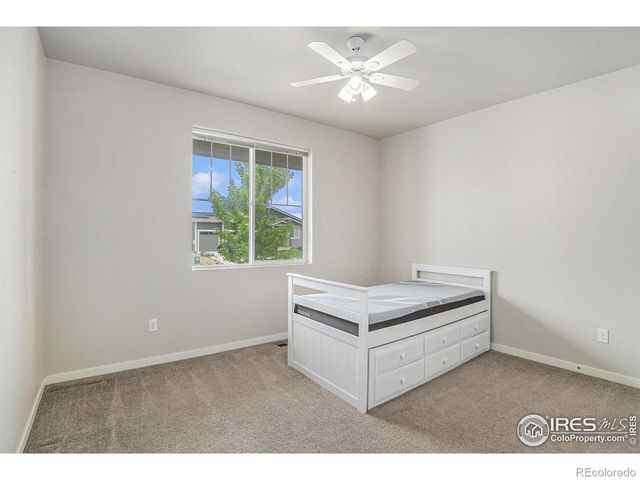 3787 Buckthorn Street, Wellington, CO 80549