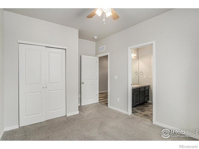 3787 Buckthorn Street, Wellington, CO 80549