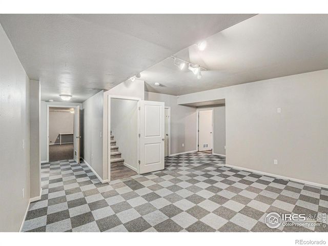 3787 Buckthorn Street, Wellington, CO 80549