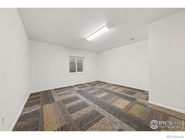 3787 Buckthorn Street, Wellington, CO 80549