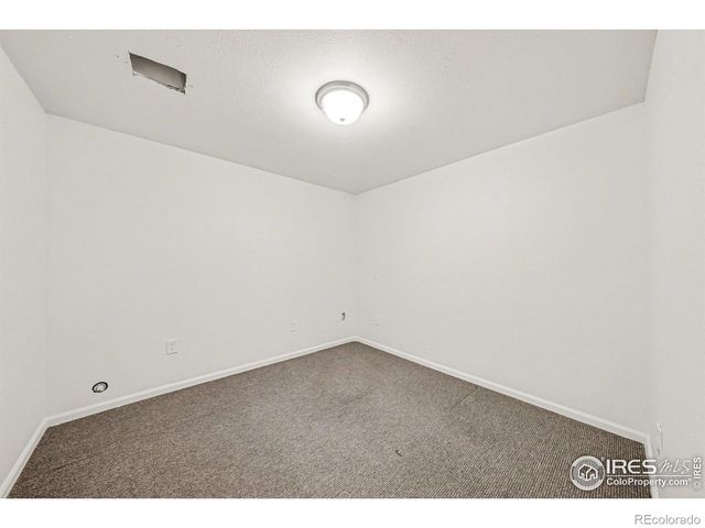 3787 Buckthorn Street, Wellington, CO 80549