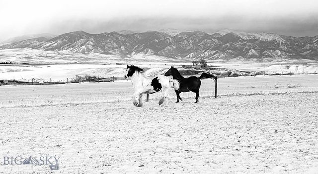 9670 Prairie Rd, Manhattan, MT 59741