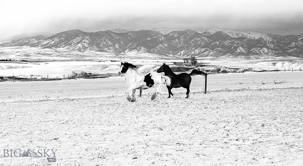 9670 Prairie Rd, Bozeman, MT 59741 photo 4