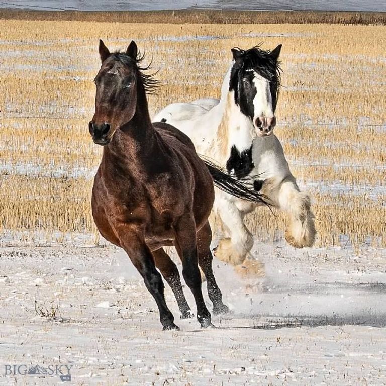 9670 Prairie Rd, Bozeman, MT 59741 photo 62