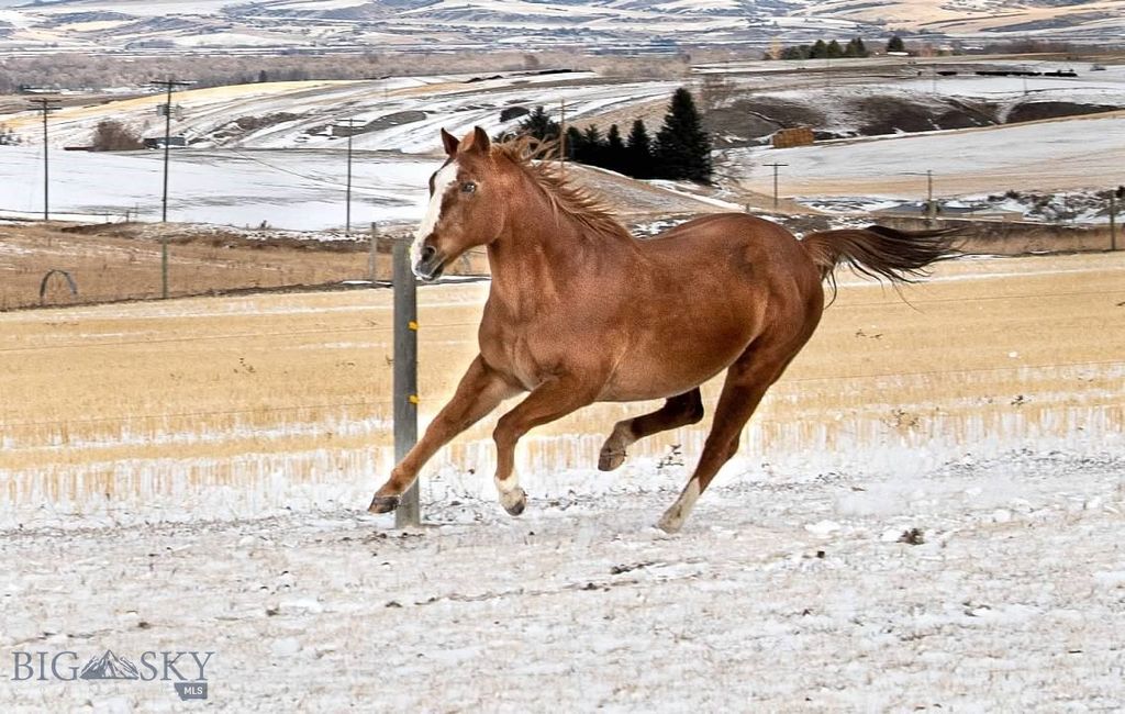 9670 Prairie Rd, Bozeman, MT 59741 photo 73
