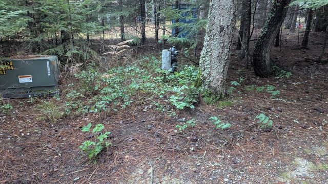 158 Teal Rd, Usk, WA 99156