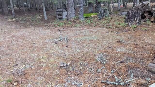 158 Teal Rd, Usk, WA 99156