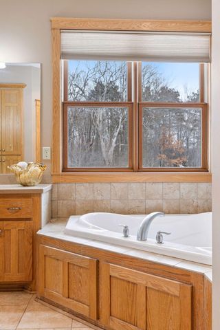 25254 Firefly Avenue, Wyoming, MN 55092