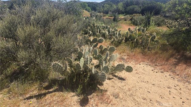 0 Covered Wagon Trail, Anza, CA 92539