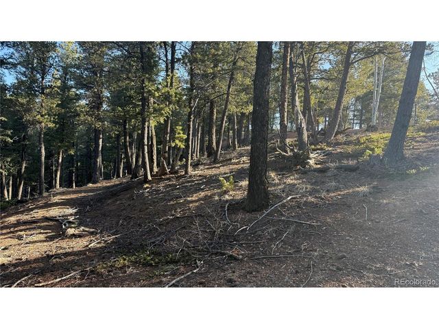 461 Paradiso Rd, Divide, CO 80814