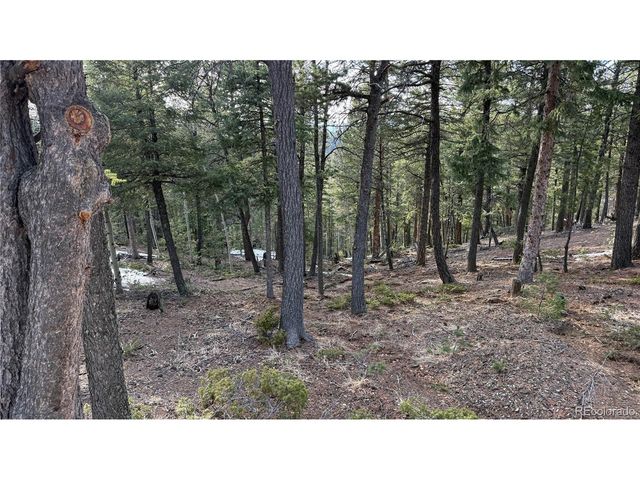 461 Paradiso Rd, Divide, CO 80814