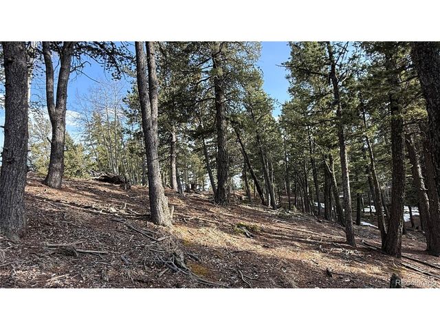 461 Paradiso Rd, Divide, CO 80814
