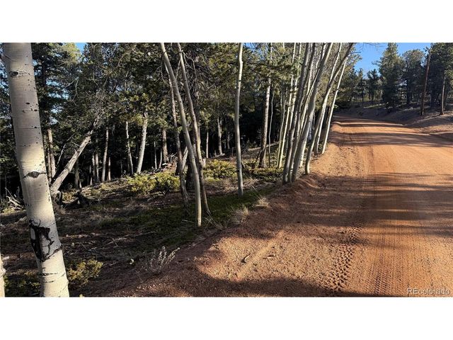 461 Paradiso Rd, Divide, CO 80814