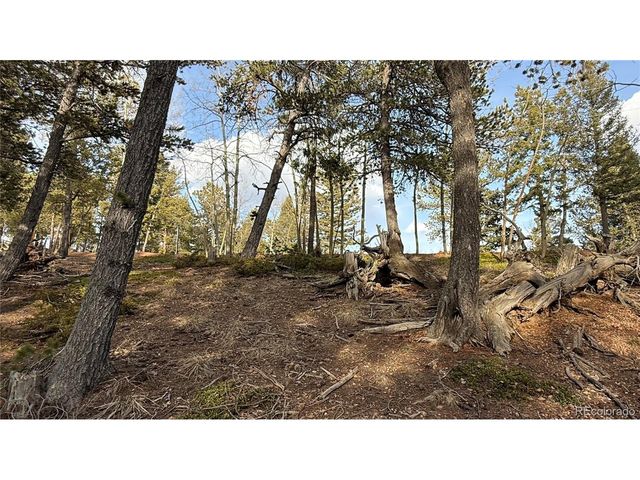 461 Paradiso Rd, Divide, CO 80814