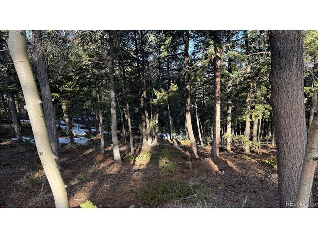 461 Paradiso Rd, Divide, CO 80814