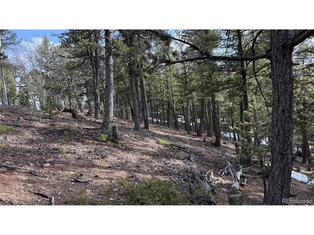 461 Paradiso Rd, Divide, CO 80814