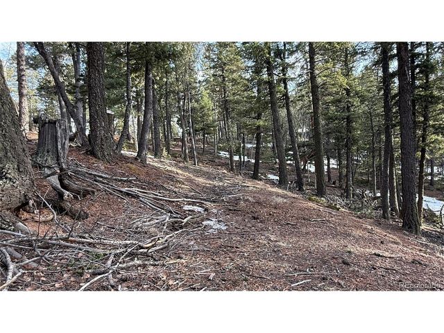 461 Paradiso Rd, Divide, CO 80814