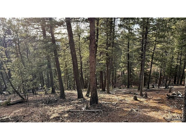 461 Paradiso Rd, Divide, CO 80814