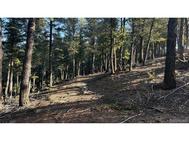 461 Paradiso Rd, Divide, CO 80814
