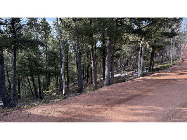 461 Paradiso Rd, Divide, CO 80814