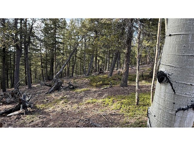 461 Paradiso Rd, Divide, CO 80814