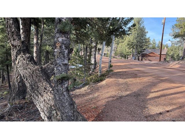 461 Paradiso Rd, Divide, CO 80814