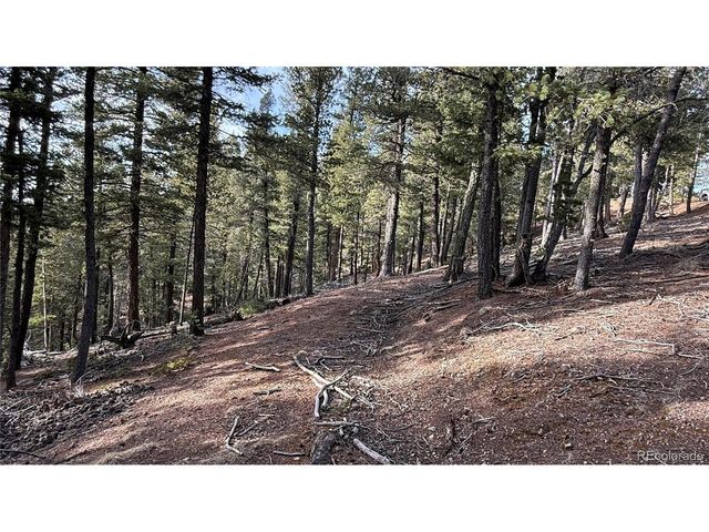461 Paradiso Rd, Divide, CO 80814