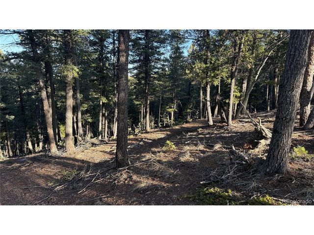 461 Paradiso Rd, Divide, CO 80814