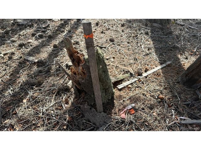 461 Paradiso Rd, Divide, CO 80814