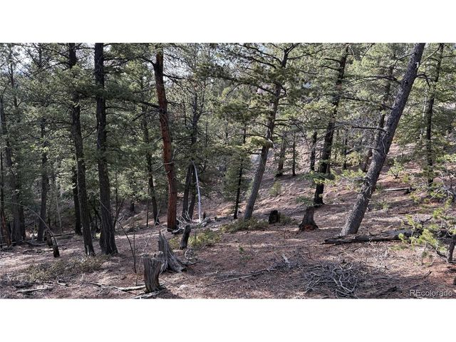 461 Paradiso Rd, Divide, CO 80814