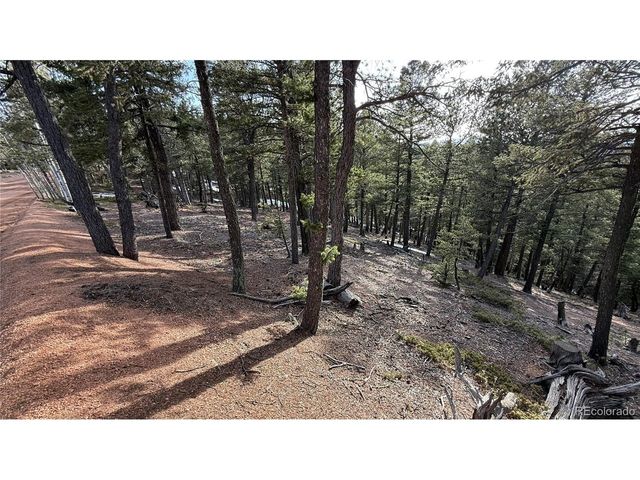 461 Paradiso Rd, Divide, CO 80814