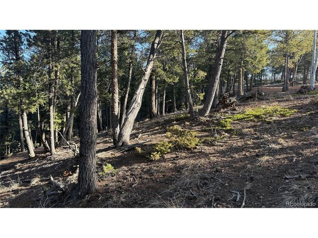 461 Paradiso Rd, Divide, CO 80814