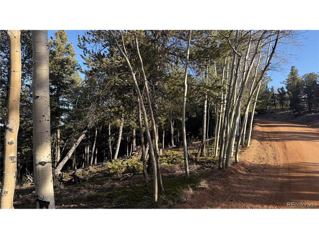 461 Paradiso Rd, Divide, CO 80814
