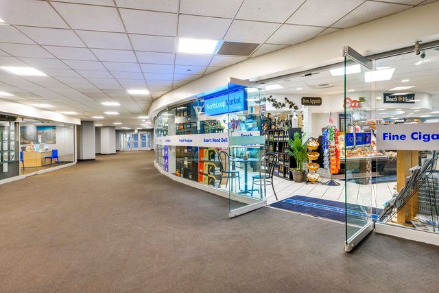 300 N STATE Street 4407, Chicago, IL 60654