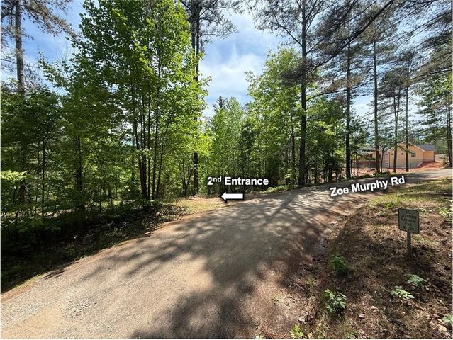0 Zoe Murphy Road, Dawsonville, GA 30534