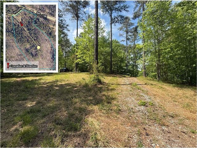 0 Zoe Murphy Road, Dawsonville, GA 30534