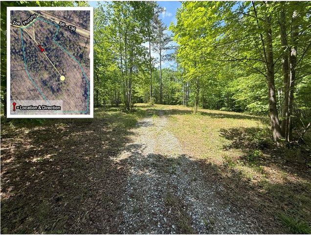 0 Zoe Murphy Road, Dawsonville, GA 30534