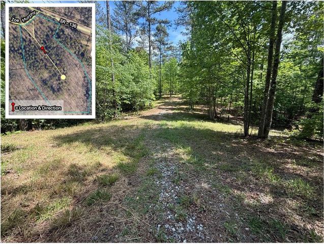 0 Zoe Murphy Road, Dawsonville, GA 30534