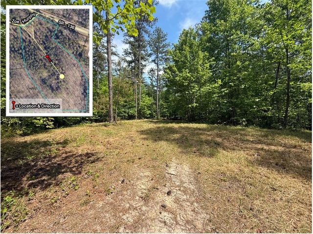0 Zoe Murphy Road, Dawsonville, GA 30534
