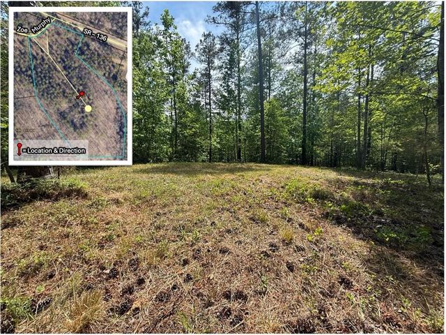 0 Zoe Murphy Road, Dawsonville, GA 30534