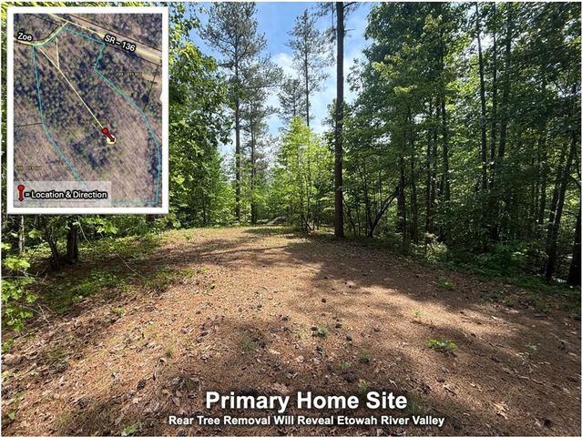 0 Zoe Murphy Road, Dawsonville, GA 30534