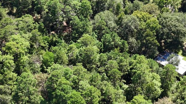 Lot 226 N Canyon Drive, Onalaska, TX 77360