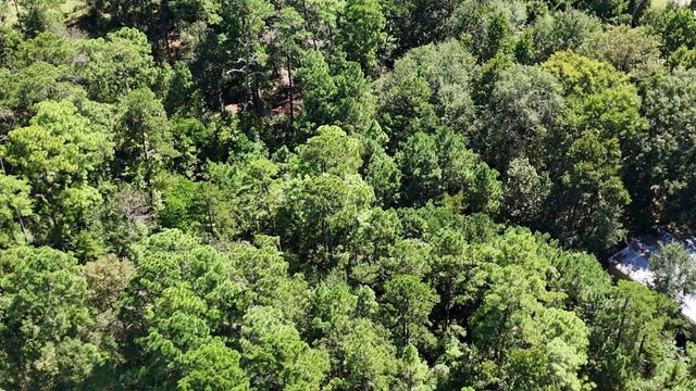 Lot 226 N Canyon Drive, Onalaska, TX 77360