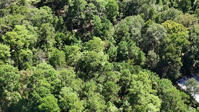 Lot 226 N Canyon Drive, Onalaska, TX 77360