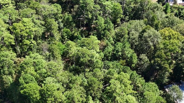 Lot 226 N Canyon Drive, Onalaska, TX 77360