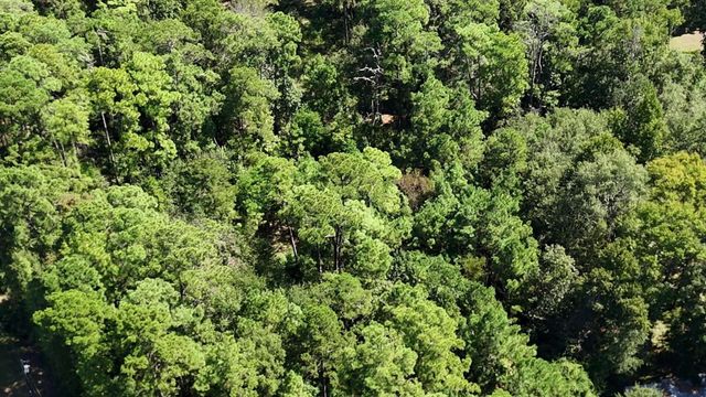 Lot 226 N Canyon Drive, Onalaska, TX 77360