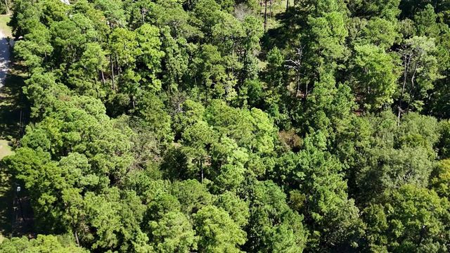 Lot 226 N Canyon Drive, Onalaska, TX 77360