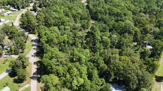 Lot 226 N Canyon Drive, Onalaska, TX 77360