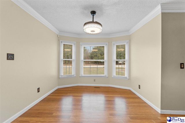 445 Country Club Drive, Johnsonville, SC 29555