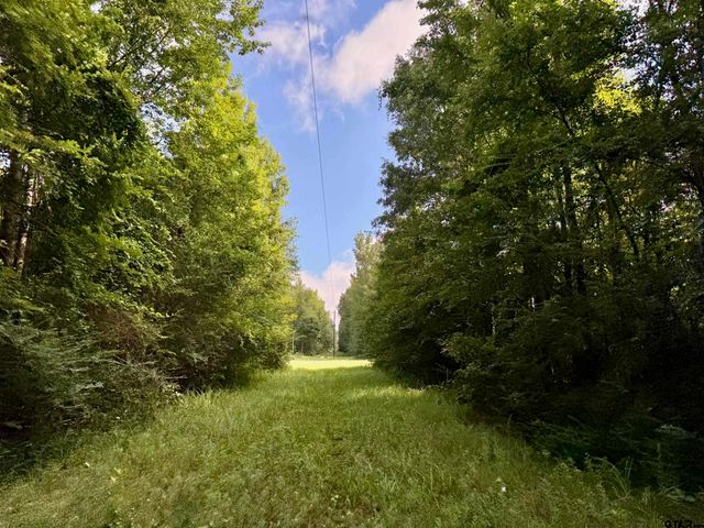 TBD CR 369, Winona, TX 75792